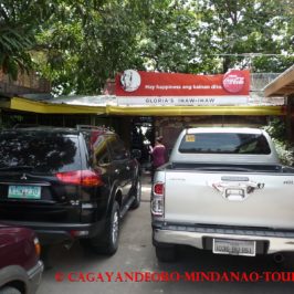 Cagayan de Oro & Mindanao Tours - Research Trip - Iligan Wasserfälle - Initao Nationalpark