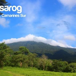 PHILIPPINEN REISEN BLOG - Besuch des Mt. Isarog Natinalparks in Naga, Camarines Sur