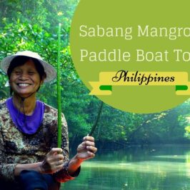 PHILIPPINEN REISEN BLOG - Mangroven Paddelboot Tour in Puerta Princesa, Palawan