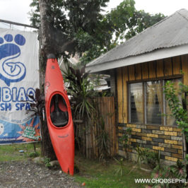 PHILIPPINEN REISEN BLOG - Tibiao Fish Spa in Antique