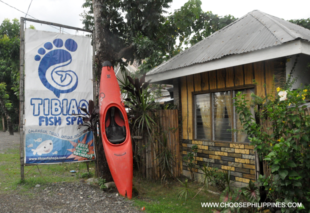 PHILIPPINEN REISEN BLOG - Tibiao Fish Spa in Antique