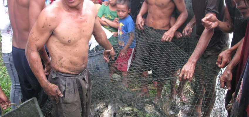 PHILIPPINEN-ERFAHRUNG- Bei der Fischernte helfen