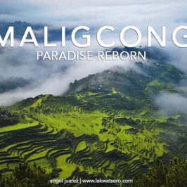 PHILIPPINEN REISEN BLOG - Die Maligcong Reisterrassen