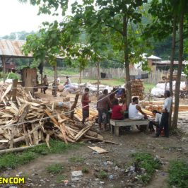 PHILIPPINEN REISEN BLOG - ALLTAG - Besuch in der Sägemühle mit Holzplatz Foto von Sir Dieter Sokoll