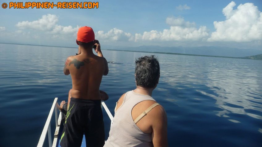PHILIPPINEN REISEN BLOG - Tagesausflug zu den Delphinen und Sandbänken von Bais Foto von Sir Dieter Sokoll