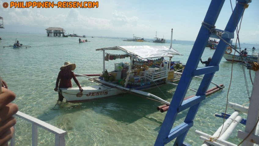 PHILIPPINEN REISEN BLOG - Tagesausflug zu den Delphinen und Sandbänken von Bais Foto von Sir Dieter Sokoll
