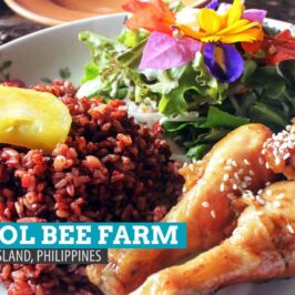 PHILIPPINEN BLOG - Bohol Bee Farm Resort und Restaurant