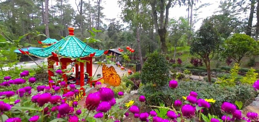 Baguio Botanical Garden