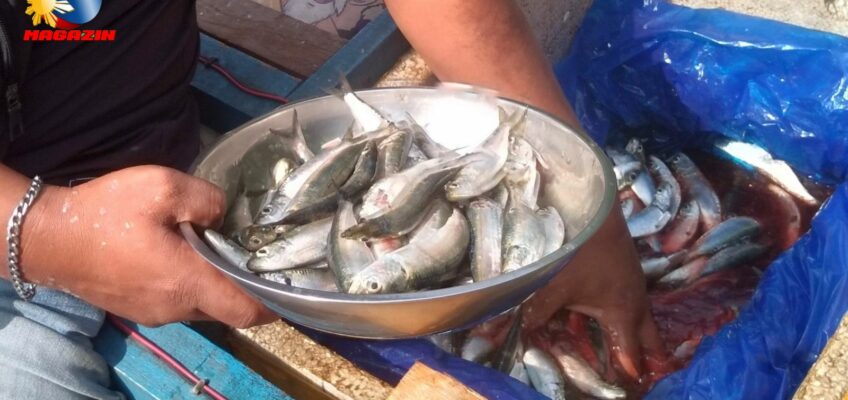 PHILIPPINEN BLOG - Der mobile Fischhändler kommt täglich Foto von Sir Dieter Sokoll für PHILIPPINEN MAGAZIN