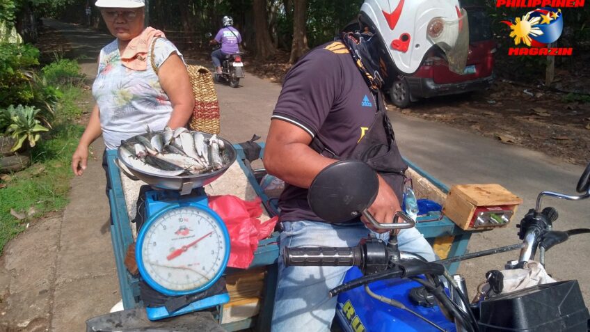 PHILIPPINEN BLOG - Der mobile Fischhändler kommt täglich Foto von Sir Dieter Sokoll für PHILIPPINEN MAGAZIN 