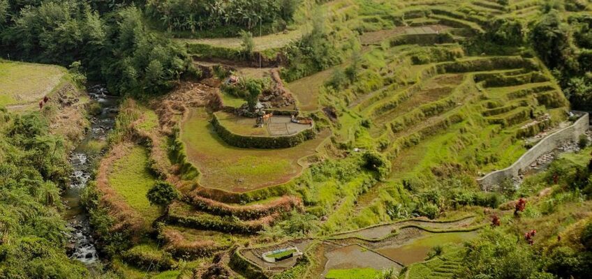 PHILIPPINEN BLOG - Die Reisterrassen von Luzon