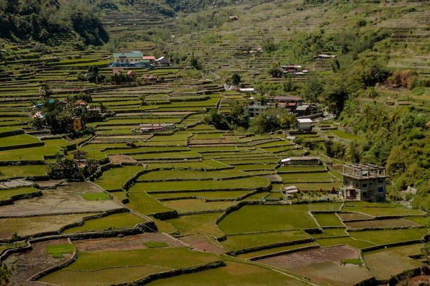 PHILIPPINEN BLOG - Die Reisterrassen von Luzon