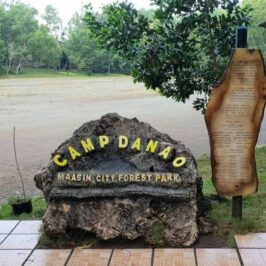 PHILIPPINEN BLOG - Der Maasin City Forest Park