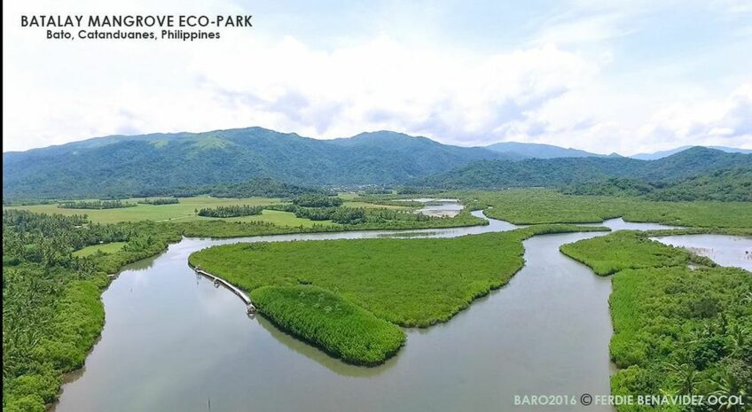 PHILIPPINEN B:OG - Bantalay Mangrove Eco Park