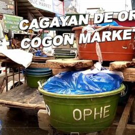 PHILIPPINEN BLOG - Fischlieferung auf dem Markt Foto von Sir Dieter Sokoll, KOR für PHILIPPINEN MAGAZIN