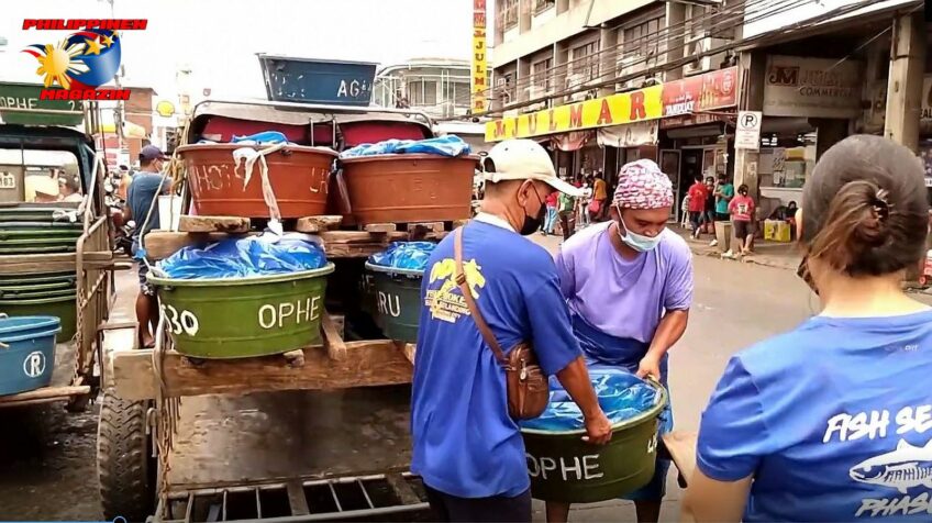 PHILIPPINEN BLOG - Fischlieferung auf dem Markt  Foto von Sir Dieter Sokoll, KOR für PHILIPPINEN MAGAZIN