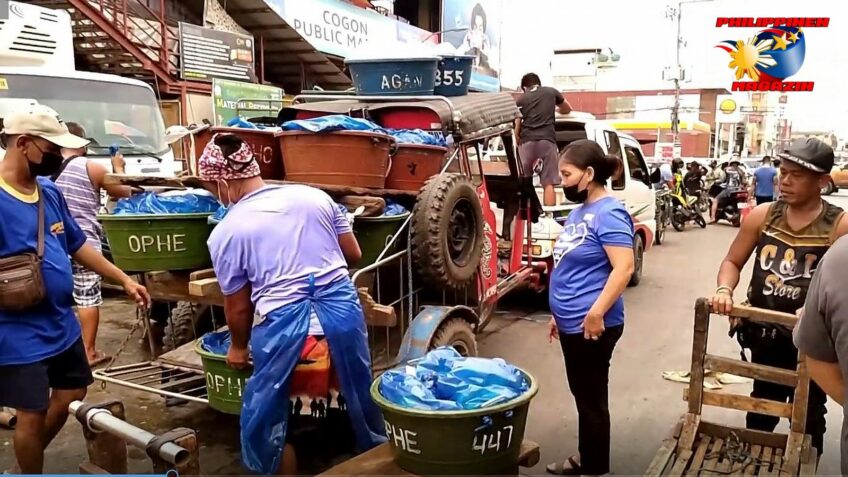 PHILIPPINEN BLOG - Fischlieferung auf dem Markt  Foto von Sir Dieter Sokoll, KOR für PHILIPPINEN MAGAZIN