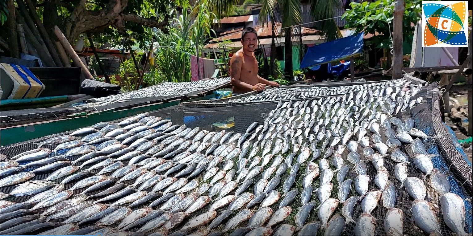 PHILIPPINEN BLOG - Im Fischereihafen