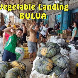 PHILIPPINEN BLOG - Gemüseanlandung Bulua