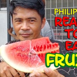 PHILIPPINEN BLOG - Obst zum Verzehr auf der Straße