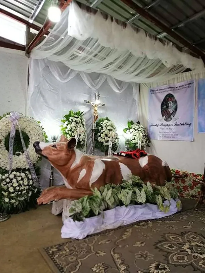 PHILIPPINEN BLOG - Jäger in "Hundesarg" und mit "Pferdegrabstein" begraben
