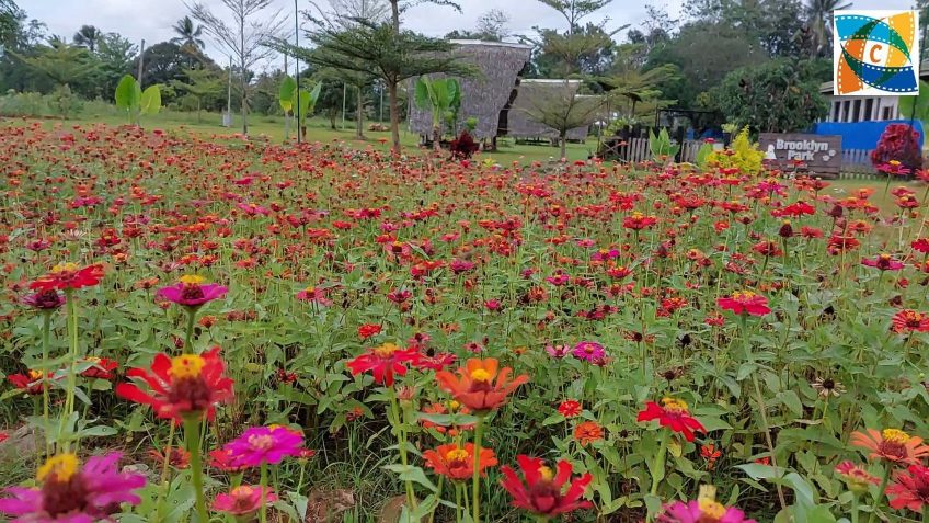Zu Besuch im Blumengarten von Kinawe