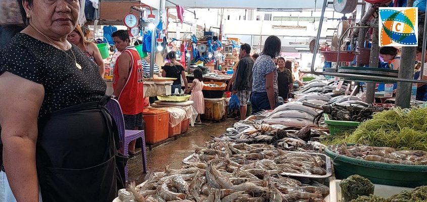 In der Frisch-Fischabteilung auf dem Markt von Dumaguete