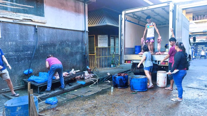 PHILIPPINEN BLOG - Fleischkauf frühmorgens auf dem Markt
