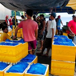 PHILIPPINEN BLOG - Fischanlandung im Fischereihafen der Tambobobucht in Siaton