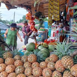 PHILIPPINEN BLOG - Frisch geerntete Ananas vom Straßenstand