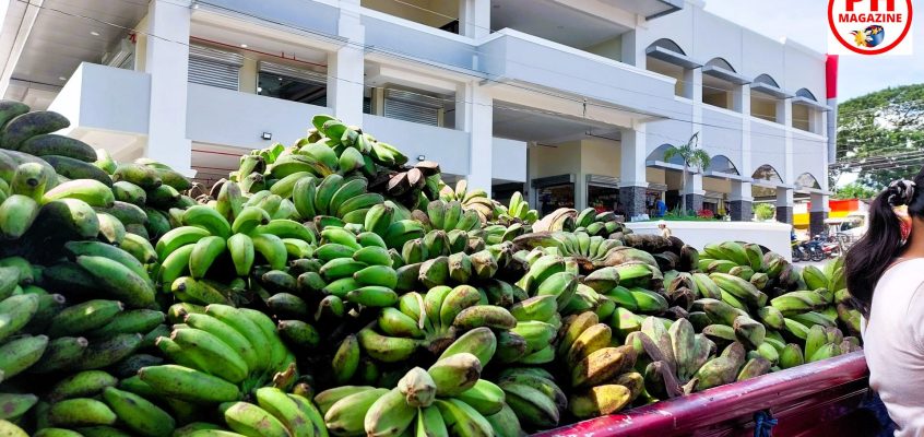 Direktverkauf von Bananen
