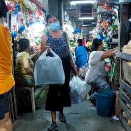 PHILIPPINEN BLOG - Einkäufe auf dem Markt tätigen