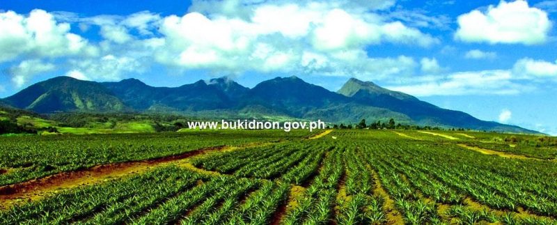 PHILIPPINEN REISEN- ORTE - BUKIDNON - Die Provinz Bukidnon