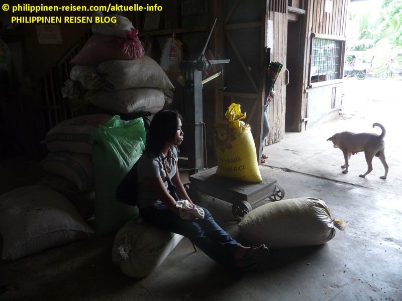 PHILIPPINEN REISEN - REISEBERICHTE - Allgemein - Erlebnisse in der Maismühle