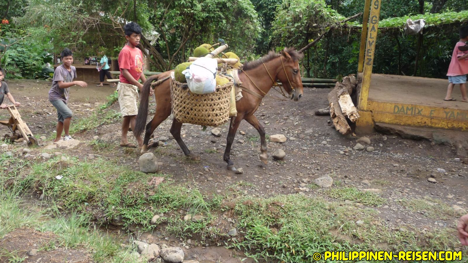 PHILIPPINEN REISEN - REISEBERICHTE - MINDNAO -Bei den Bauern in Balingasag Foto von Sir Dieter Sokoll