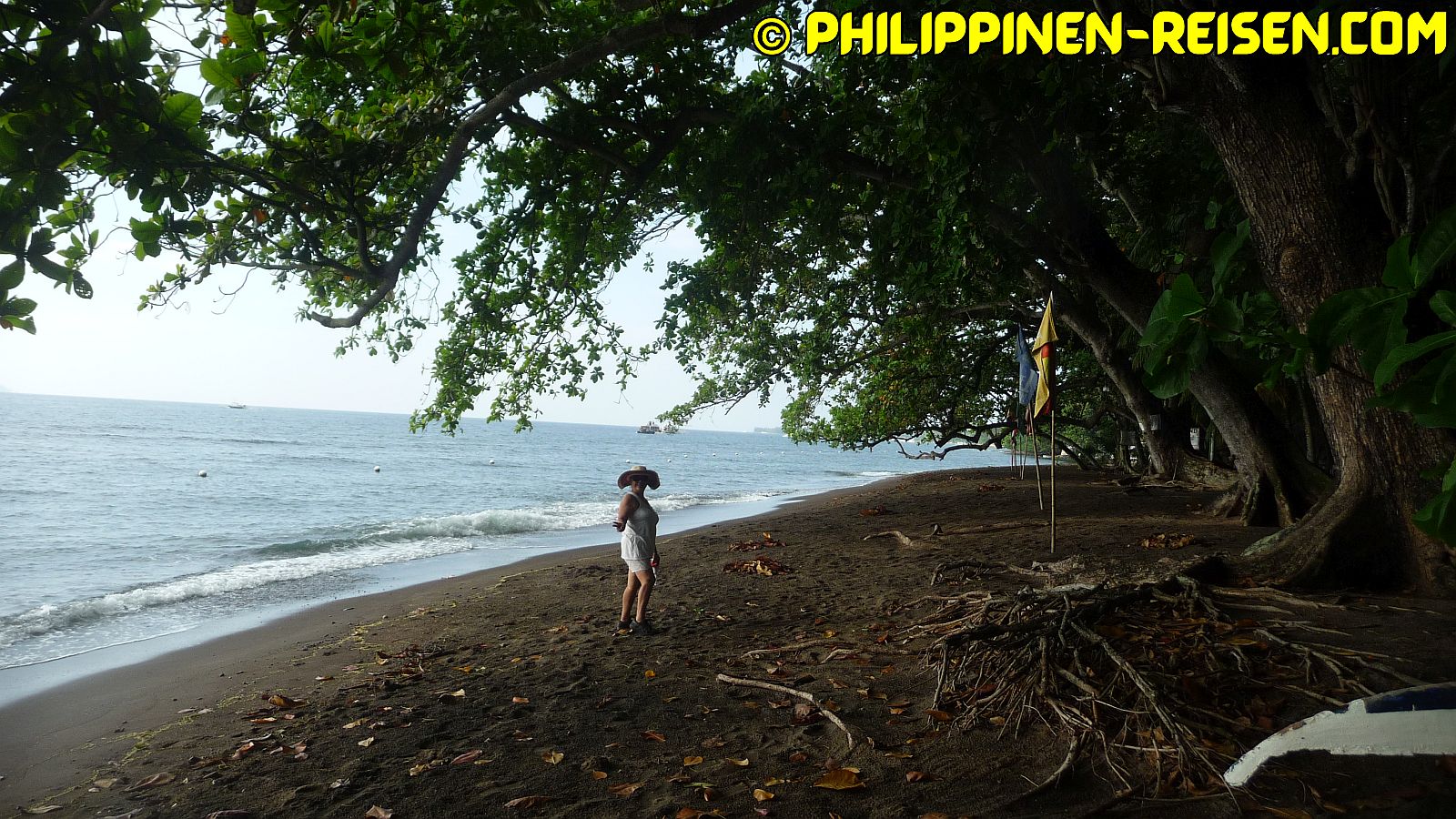 PHILIPPINEN REISEN - ORTE - NEGROS - NEGROS ORIENTAL - Touristische Ortsbeschreibung für Dauin