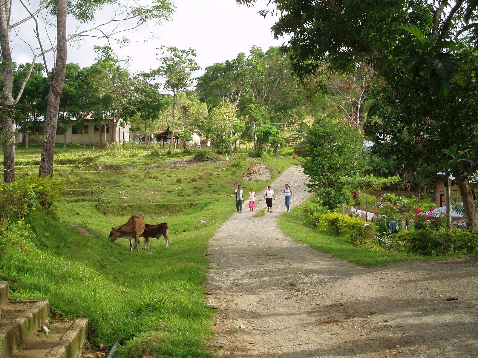 PHILIPPINEN REISEN - ORTE - BOHOL - Touristische Ortsbeschreibung für Guindulman
