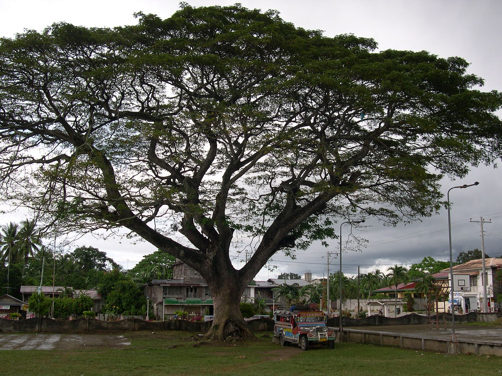PHILIPPINEN REISEN - ORTE - BOHOL - Touristische Ortsbeschreibung für Loon