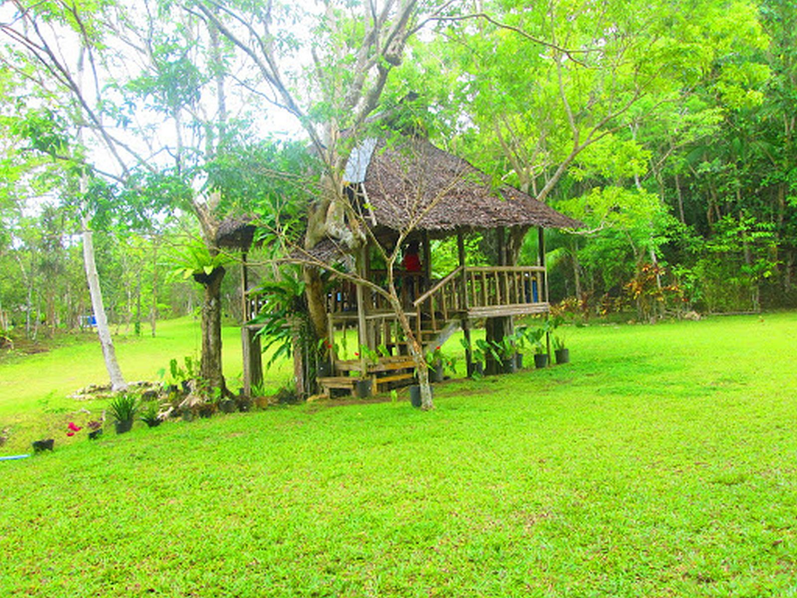PHIILIPPINEN REISEN - ORTE - BOHOL - Touristische Ortsbeschreibung für Sikatuna