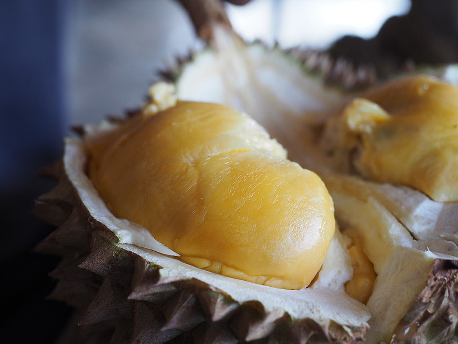 PHILIPPINEN MAGAZIN - LEITFADEN ZU - Leitfaden zu philippinischer Durian