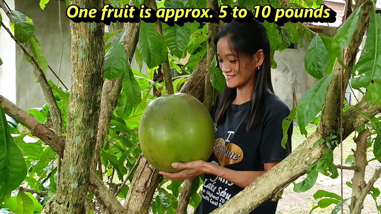 PHILIPPINEN REISEN - Leitfaden zu philippinischen Früchten